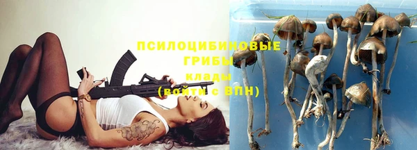 индика Надым