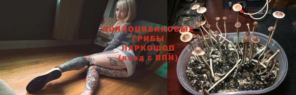 гидропоника Бердск