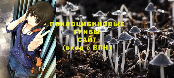 индика Надым