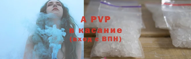 индика Надым