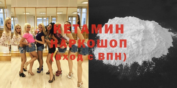 индика Надым