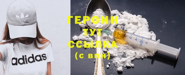индика Надым